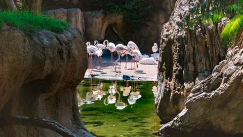 Landscape composed of rocks with a pool in the background Stock Photos