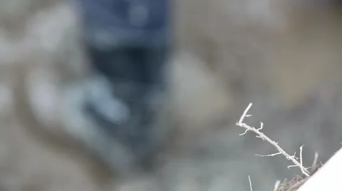 Landscape Construction Stock Footage 47922432