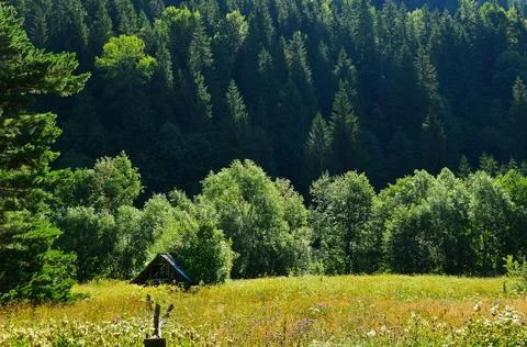 Landscape in contour lighting Stock Photos