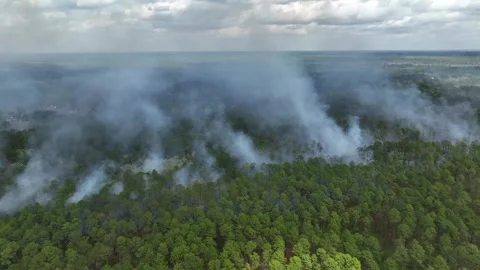 Landscape With Controlled Burn To Reduce Stock Video Pond5