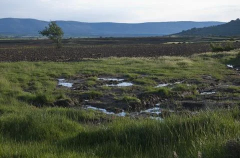 Landscape of the countryside after the rain. Grass, crop fields and mountains Stock Photos