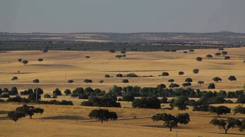 Landscape of the countryside 스톡 동영상 120012904