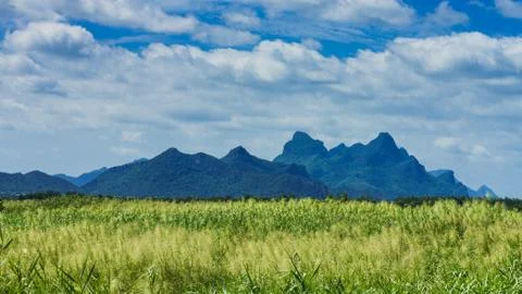 Landscape of countryside Stock Photos