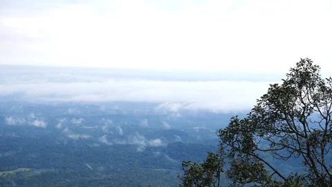 Landscape covered with mist in a rain forest in India Видео 118435939