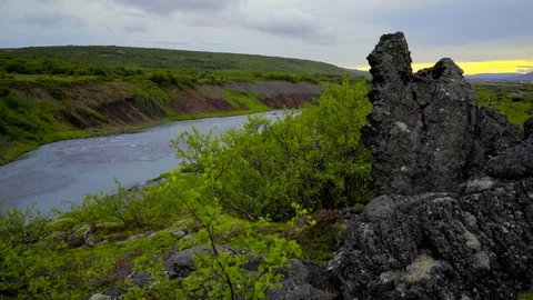 Landscape covered with moss along the river Stock Footage 73011153