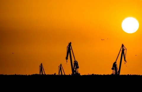 Landscape of a cranes in a harbor at sunset with clouds Stock Photos