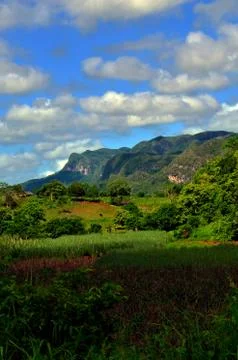 Landscape of Cuba Stock Photos