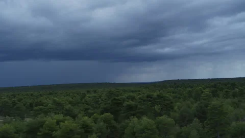 Landscape In Cuenca, Spain. Dron. Trees Stock Footage 233182740