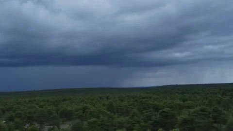 Landscape In Cuenca, Spain. Dron. Trees Stock Footage 233182758