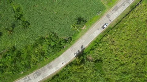 Landscape with cultivated fields and road for vehicles Stock Footage 246892826