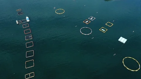 Landscape of the cultivation Stock Footage 87306642