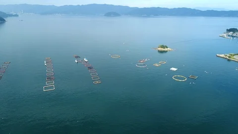 Landscape of the cultivation Video stock 88888470