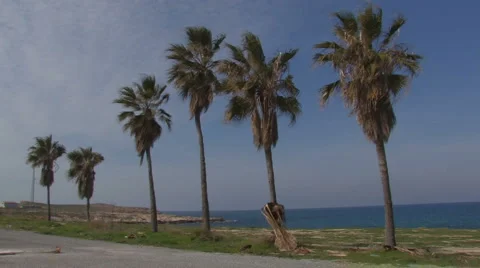 Landscape, Cyprus Vídeo Stock 981676
