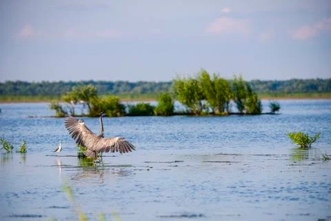 Landscape in Danube Delta Stock Photos