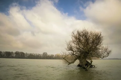 Landscape of Danube Delta in Romania Stock Footage 86294247