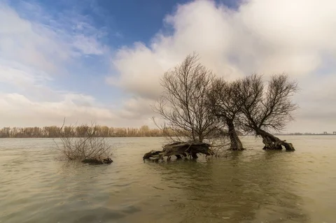 Landscape of Danube Delta in Romania 库存影片 86294635