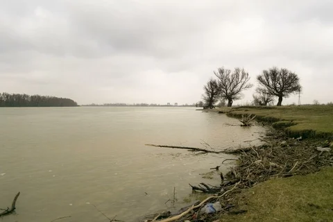 Landscape of Danube Delta in Romania Stock Footage 86294637