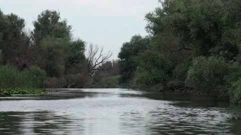 The Landscape of the Danube Delta in Romania Stock Footage 222589415