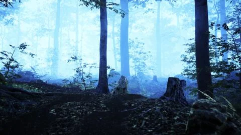 Landscape of dark forest with fog Illustrazione stock