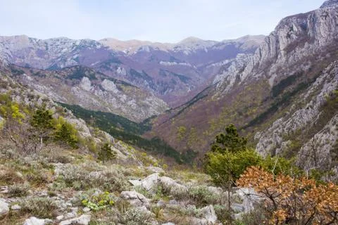 Landscape day image. Stock Photos