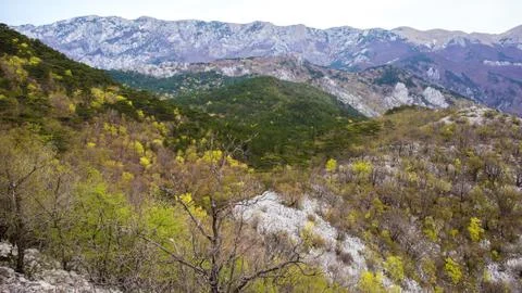 Landscape day image. Foto stock
