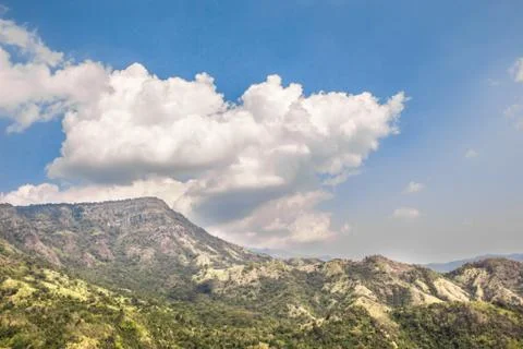 Landscape in the daytime. Stock Photos