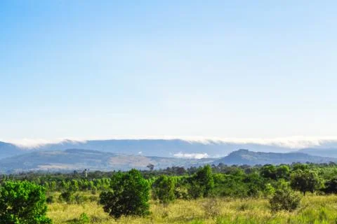 Landscape in the daytime. Stock Photos