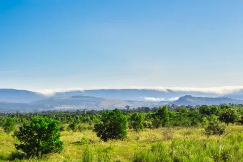 Landscape in the daytime. Stock Photos