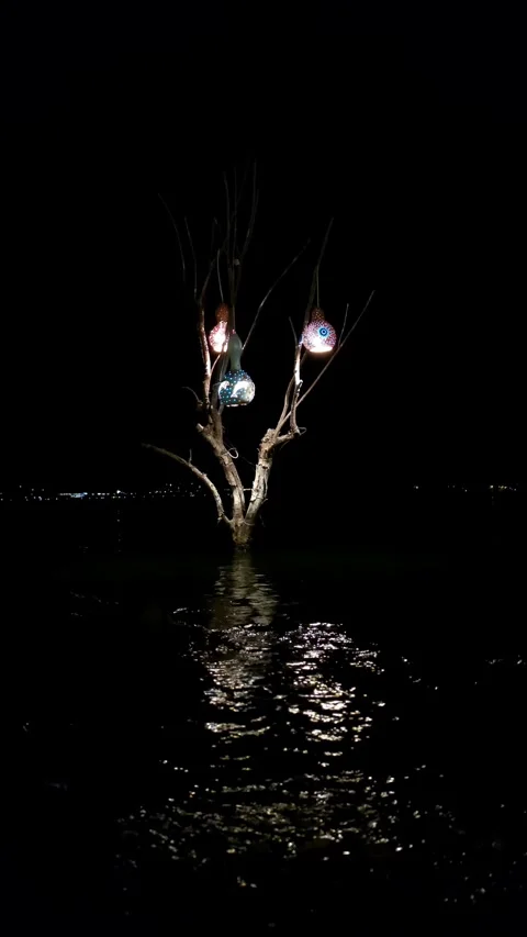 Landscape of dead tree standing in a sea with hanging traditional turkish Stock Footage 344043101