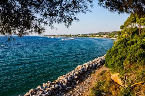 Landscape of a dense and various vegetation around sea bay, pine trees Stock Photos