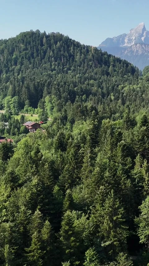 Landscape of a dense coniferous forest and majestic mountains Stock Footage 346783767