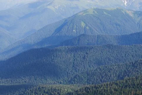 Landscape with dense forest at the foot of the mountains. Stock Photos