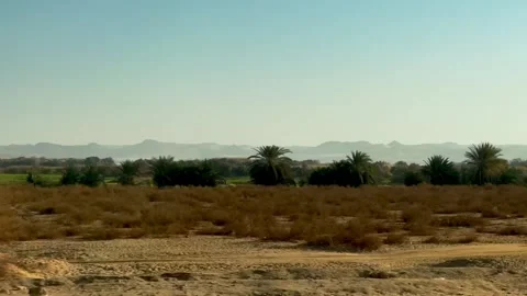 Landscape with desert and green fields near the Nasser lake in Egypt Stock-Footage 313929542