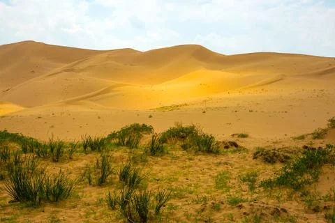 The landscape of the desert. Stock Photos