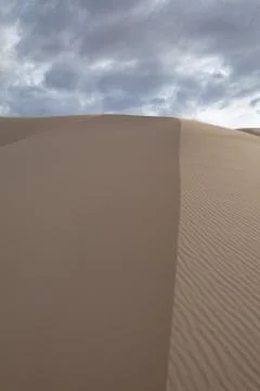The landscape of the desert Stock Photos