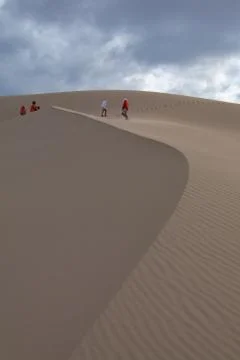 The landscape of the desert Stock-Fotos