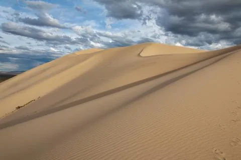 The landscape of the desert Fotos Stock