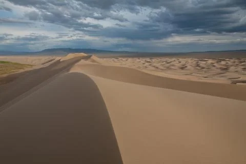 The landscape of the desert Stock Photos