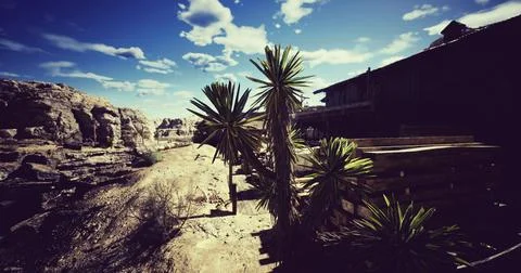 Landscape with desert vegetation and rustic building under blue sky Ilustración de archivo