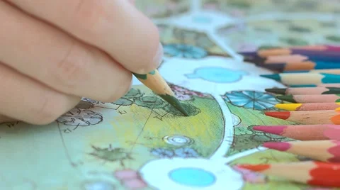 Landscape design. Draw a plan for landscaping Stock-Footage 65422893