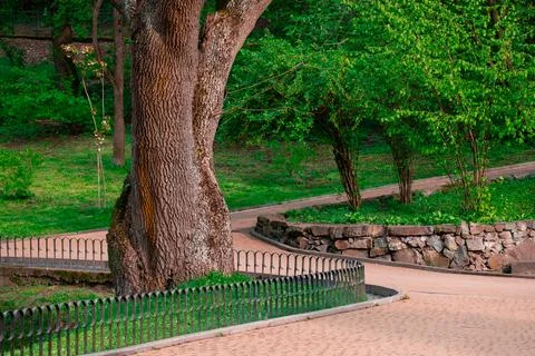 Landscape design elements in city square garden park green grass lawn hills f Fotos Stock