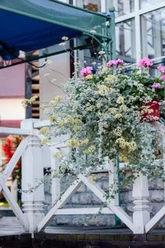 Landscape design elements Stock Photos