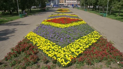 Landscape Design from Flowers Stock Footage 134285042
