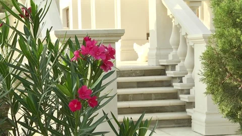 Landscape design Stock Footage 88671030