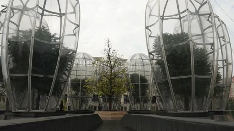 Landscape design in Krasnodar park Video stock 314525318