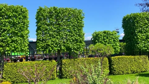 Landscape design in the park. Stock Footage 243011520