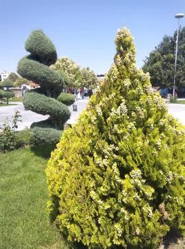 Landscape design in the park Stock Photos