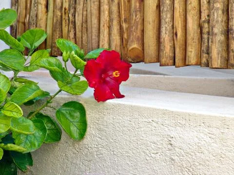 Landscape design Fotos Stock
