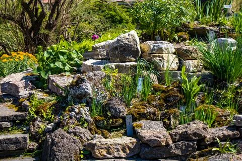 Landscape design Foto stock