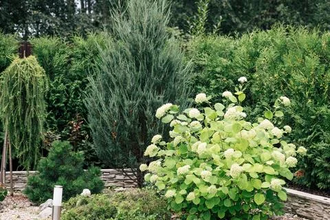 Landscape design Stock Photos